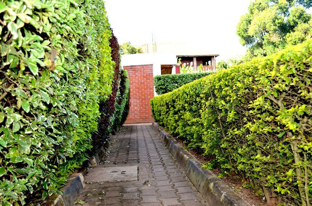 Areba Hotel Entebbe Esterno foto